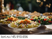 Plates of fresh gourmet food arranged on a buffet table at a catered event. Стоковое AI-изображение, AI-художник Иван Рябоконь / Фотобанк Лори