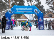Чемпионат и первенство по снежным дисциплинам ездового спорта сибирского региона "Рождественский заезд". Территория физкультурно-оздоровительного комплекса "Метелица", город Бердск, Новосибирская область, Западная Сибирь России. Стартовая площадка для собак. Редакционное фото, фотограф Евгений Мухортов / Фотобанк Лори