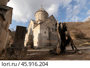 Armenian monastery of Haghartsin of the 11th-13th century in the Tavush Province of Armenia. Burnt tree. Стоковое фото, фотограф Evgenia Shevardina / Фотобанк Лори