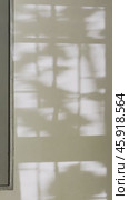 Shadows from a window casting abstract patterns on a plain wall surface. Стоковое видео, видеограф Антон Гвоздиков / Фотобанк Лори
