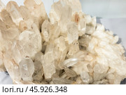 Quartz, druse of prismatic crystals with phantoms. Стоковое фото, фотограф EugeneSergeev / Фотобанк Лори