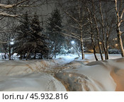 Night city park during snowfall. Moscow, Russia (2024 год). Стоковое фото, фотограф Володина Ольга / Фотобанк Лори