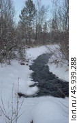 Vertical video of winter landscape with non-freezing stream into which natural springs and sources flow. Snow-covered river bank and forest. Winter travels and outdoors. Natural background. Стоковое видео, видеограф Виктория Катьянова / Фотобанк Лори