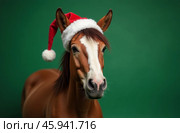 New Year horse Portrait in Santa Claus Hat Green, Christmas Card. AI-generated. Стоковое AI-изображение, AI-художник Spirit River / Фотобанк Лори
