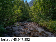 The sources of the Alibek River flowing down from the mountain slopes of the North Caucasus on the territory of the Teberdinsky Reserve on a sunny summer day, Dombai, Karachay-Cherkessia, Russia. Стоковое фото, фотограф Ula Ulachka / Фотобанк Лори
