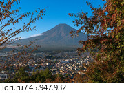 View of Mount Fuji from the observation deck in the Arakura yama Sengen Park from the Chureito Pagoda on a sunny autumn day, Fujiyoshida, Yamanashi Prefecture, Japan. Стоковое фото, фотограф Ula Ulachka / Фотобанк Лори