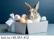 A holiday banner. A cute Easter bunny is peeking out of a gift box, and colorful eggs are scattered around. The concept of happy Easter. Стоковое AI-изображение, AI-художник Photojuli / Фотобанк Лори