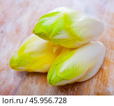 Image of fresh raw endive on the wooden table. Стоковое фото, фотограф Яков Филимонов / Фотобанк Лори