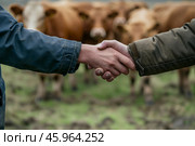 Farmers finalize an agreement during a handshake while cattle graze peacefully in the background at a rural farm. Стоковое AI-изображение, AI-художник Sergey Grishin / Фотобанк Лори