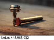 Roofing screw with sealing washer standing on wooden plank. Стоковое AI-изображение, AI-художник Иван Рябоконь / Фотобанк Лори