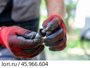 Car repair. Mechanic lubricates the valve cover mounting bolt of the timing mechanism. Стоковое фото, фотограф Коханова Наталья / Фотобанк Лори