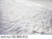 First snow on the lawn, snowdrift. Стоковое фото, фотограф Наталья Симакова / Фотобанк Лори
