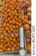 Vertical video of fresh tasty bright citrus fruits oranges, tangerines and grapefruits in plastic containers on a supermarket counter. Organic food. Редакционное видео, видеограф Виктория Катьянова / Фотобанк Лори