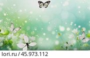Beautiful bright summer spring background for bloggers or advertising with flying butterflies and fragrant flowers. Стоковое AI-видео, аниматор ALLA YURTAYEVA / Фотобанк Лори