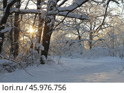 Саратов, Кумысная поляна  зима 2018 (2017 год). Стоковое фото, фотограф Elena Kotova / Фотобанк Лори