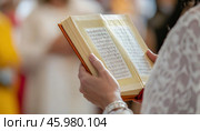 Woman reading holy book during sikh wedding ceremony in gurudwara. Стоковое AI-изображение, AI-художник Юрий Поздников / Фотобанк Лори