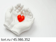 Stylish banner. In his hands, a red heart on a white background is made of plaster. World Health, Love and Insurance Day. World Heart, Health and Organ Donor Day. Стоковое фото, фотограф Photojuli / Фотобанк Лори