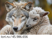 Wolf and lamb together, predator and prey, concept of peace and friendship. Стоковое AI-изображение, AI-художник Иван Рябоконь / Фотобанк Лори