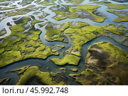 Meandering rivers flowing through vibrant green marshland creating stunning patterns. Стоковое AI-изображение, AI-художник Иван Рябоконь / Фотобанк Лори