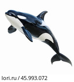 Orca leaping and showing its black and white skin. Стоковое AI-изображение, AI-художник Иван Рябоконь / Фотобанк Лори