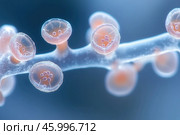 Sporangia of a microscopic organism, microbiology concept. Стоковое AI-изображение, AI-художник Евгений Харитонов / Фотобанк Лори