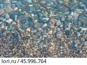 Камешки на дне моря (2013 год). Стоковое фото, фотограф Snezka / Фотобанк Лори