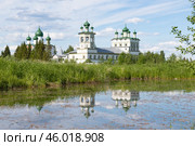Вид на старинный Николо-Вяжищский монастырь солнечным июньским днем. Новгородская область (2021 год). Стоковое фото, фотограф Виктор Карасев / Фотобанк Лори