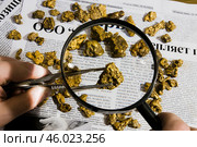 Настоящие природные самородки на газетной бумаге Якутия, Оймякон. Стоковое фото, фотограф Павел Просянов / Фотобанк Лори