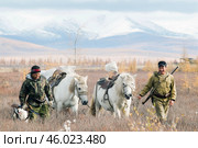 На охоре, в Якутии ( Республика САХА, Оймяконский район ) (2010 год). Редакционное фото, фотограф Павел Просянов / Фотобанк Лори