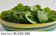 Fresh spinach leaves in bowl isolated on white. Green vegan breakfast meal. Plate of greenery. Clean eating, dieting, vegan food concept. Healthy diet design project. Organic Baby Spinach. Leaf salad. Стоковое AI-видео, аниматор Марина Демидюк / Фотобанк Лори