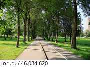 Аллея парка летом. Стоковое фото, фотограф Юлия Буянова / Фотобанк Лори