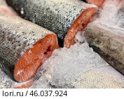 Raw steaks of fresh trout lie on shallow ice at the seafood market. An open shelf at the fish market. Стоковое фото, фотограф worker / Фотобанк Лори