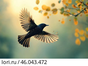 Elegance and freedom of flight. In the center of the frame is a bird, perhaps a starling or a thrush, with its wings spread. It hovers in the air, illuminated by a soft light that emphasizes the details of its plumage. The feathers on the wings are effectively unfolded, demonstrating the symmetrical beauty of nature.The background consists of blurred yellow-green shades, creating an autumnal atmosphere. At the top of the frame, a branch with golden leaves adds an additional natural element, giving harmony to the composition. Стоковое AI-изображение, AI-художник Анна Кривицкая / Фотобанк Лори