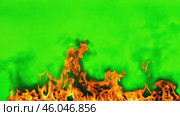 Orange Red Flames Engulf on green screen background. Vibrant fire animated on green backdrop. Burning flame animation. Frame Template. Chroma key. Motion graphics. Creative video for overlay. Inferno. Стоковое AI-видео, аниматор Марина Демидюк / Фотобанк Лори