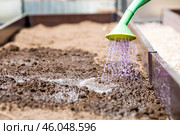 There is a watering can in the hands of an elderly woman. The farmer waters the garden with solutions of potassium permanganate against diseases and pests before planting seedlings in the ground. Стоковое фото, фотограф Photojuli / Фотобанк Лори