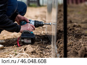 A man holds a battery-powered screwdriver and assembles a new greenhouse made of polyethylene, polycarbonate. Macro photography. Side view. Preparing for the spring garden season. Стоковое фото, фотограф Photojuli / Фотобанк Лори