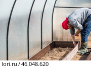 A man holds a battery-powered screwdriver and collects new beds from WPC into a greenhouse made of polyethylene, polycarbonate. Macro photography. Side view. Preparing for the spring garden season. Стоковое фото, фотограф Photojuli / Фотобанк Лори