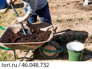 A male farmer pours new soil, soil for a new greenhouse. The concept of spring vegetable planting, greenhouse installation and farming. Стоковое фото, фотограф Photojuli / Фотобанк Лори