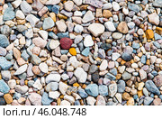 The texture. Pebbles in close-up on the beach. Стоковое фото, фотограф Photojuli / Фотобанк Лори