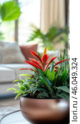 Vibrant red bromeliad enhancing modern living room decor. Стоковое AI-изображение, AI-художник Юрий Поздников / Фотобанк Лори