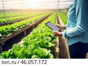 Farmer using digital tablet in greenhouse hydroponics system. Стоковое AI-изображение, AI-художник Иван Рябоконь / Фотобанк Лори