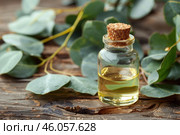 Bottle of eucalyptus essential oil on rustic wooden background with fresh leaves. Стоковое AI-изображение, AI-художник Иван Рябоконь / Фотобанк Лори