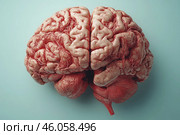 A hyper-realistic or 3D anatomical depiction of the human brain in great detail. The organ is depicted with great precision, showing its sinuous surface, blood vessels, and neural structures. The color scheme includes natural reddish-pink tones, emphasizing the biological texture, while the background is done in a muted mint color, creating contrast and highlighting the brain as the central object of the composition.The image shows the cerebral hemispheres, the cerebellum, and detailed vascular plexuses, making it valuable from a scientific and artistic point of view. It can be used in medical illustration, neuroanatomy, or educational materials on biology. Стоковое AI-изображение, AI-художник Анна Кривицкая / Фотобанк Лори