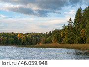 Lake Ladoga near the village Lumivaara on a sunny autumn day, Ladoga skerries, Lakhdenpokhya, Republic of Karelia, Russia. Стоковое фото, фотограф Ula Ulachka / Фотобанк Лори