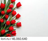 Flowers tulips on white background. spring card. Стоковое AI-изображение, AI-художник Ирина Самойлова / Фотобанк Лори