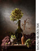 Contemporary still life with dry hydrangea in a bottle and brown stole on a dark background. Стоковое фото, фотограф Ирина Толокновская / Фотобанк Лори