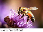 Honey bee pollinating purple flower in summer meadow. Стоковое AI-изображение, AI-художник Иван Рябоконь / Фотобанк Лори