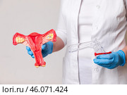 A female doctor shows interns or patient on a healthy anatomical model of the uterus the principle of operation of the medical gynecological speculum. Стоковое фото, фотограф Ирина Михайличенко / Фотобанк Лори
