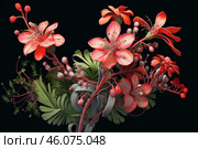 Red caesalpinia pulcherrima flowers blooming on black background. Стоковое AI-изображение, AI-художник Иван Рябоконь / Фотобанк Лори