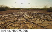 Cracked desert land with tumbleweed. Water problems, global warming, drought, water shortage in the world, health problems, poverty and misery in countries. Climate change: from friendship to green grove. Стоковое AI-видео, аниматор ALLA YURTAYEVA / Фотобанк Лори